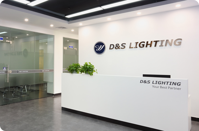 Why You Should Work With D & S Lighting / 为什么要使用D&S照明