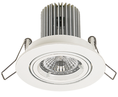 ELLA 10W Directional LED Downlight